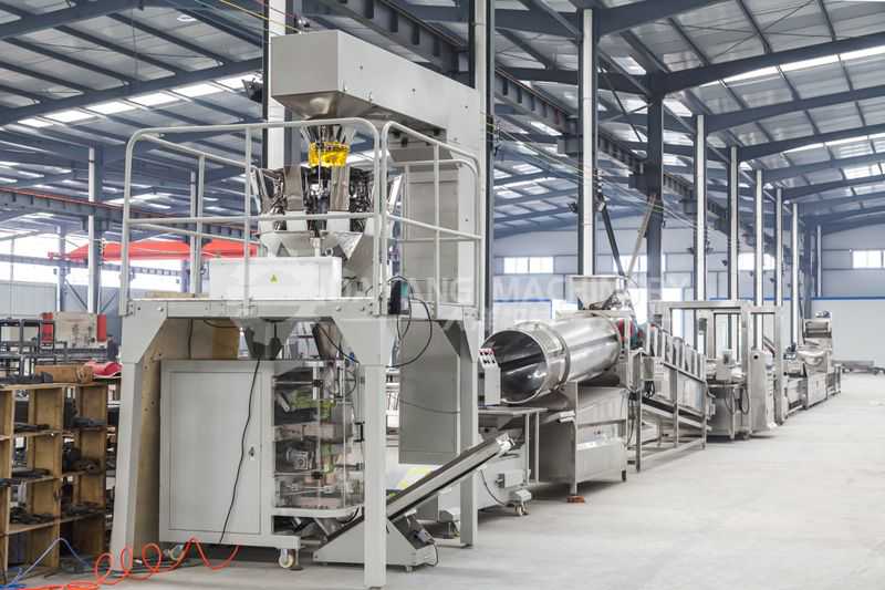 Línea automática de procesamiento de patatas fritas