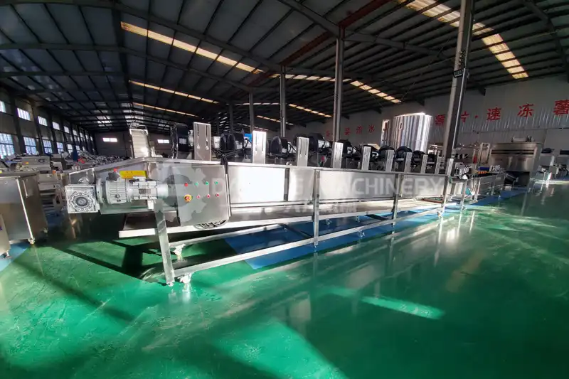 Garlic clove production line-4