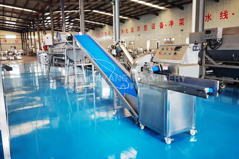 Vegetable processing machine-4