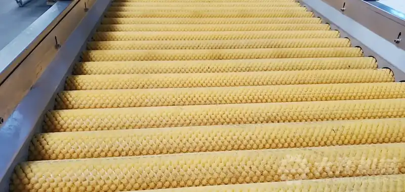 máquina limpiadora y peladora de rodillos de cepillos