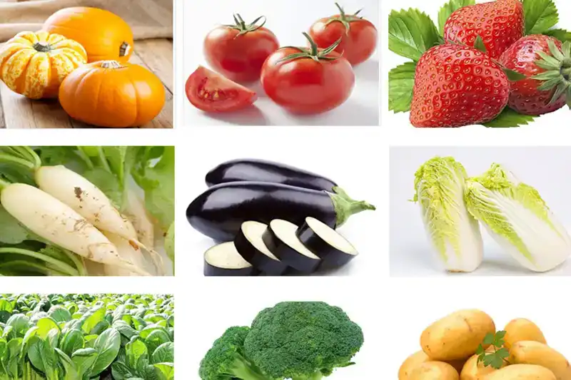 Máquina limpiadora de verduras de vórtice
