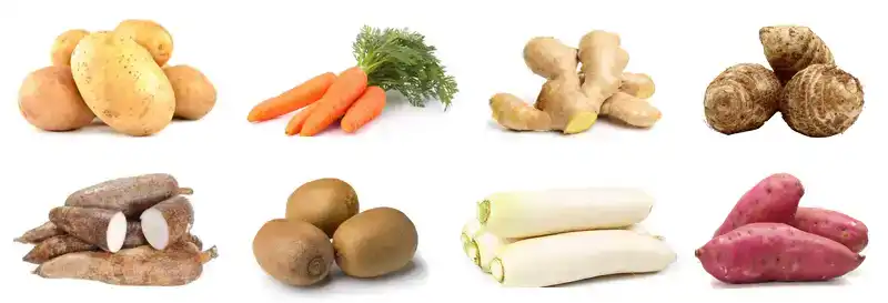 Máquina limpiadora de cepillos vegetales