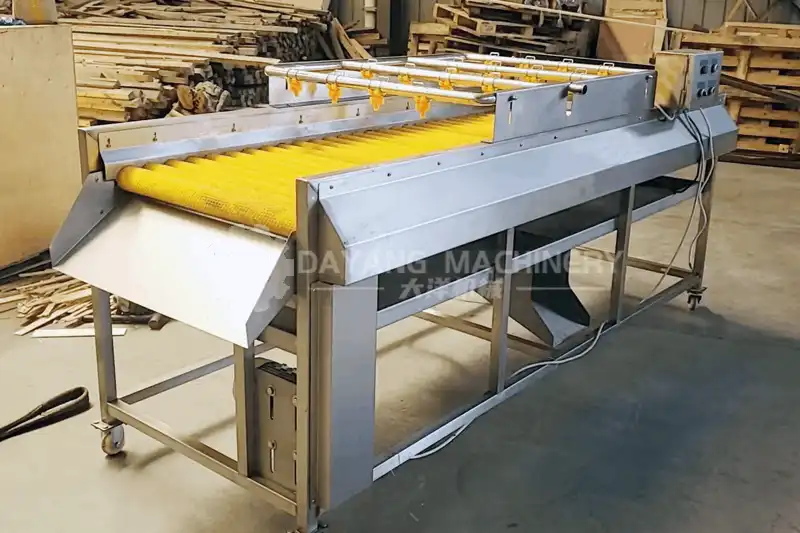 Máquina limpiadora de rodillos de cepillos vegetales