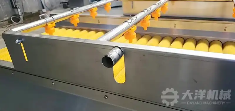 máquina limpiadora y peladora de rodillos de cepillos