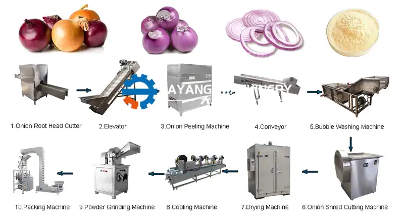 Onion Powder Production Line1