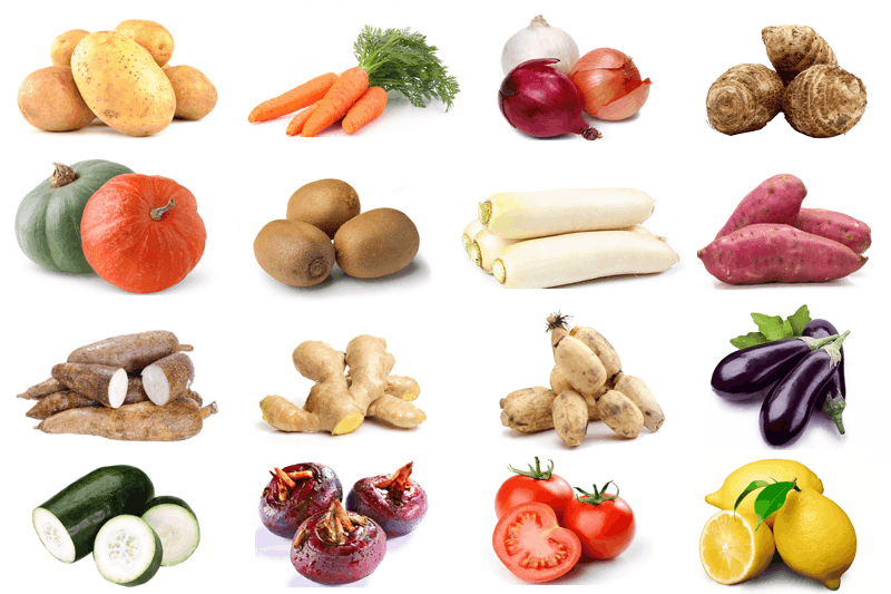 root vegetable2
