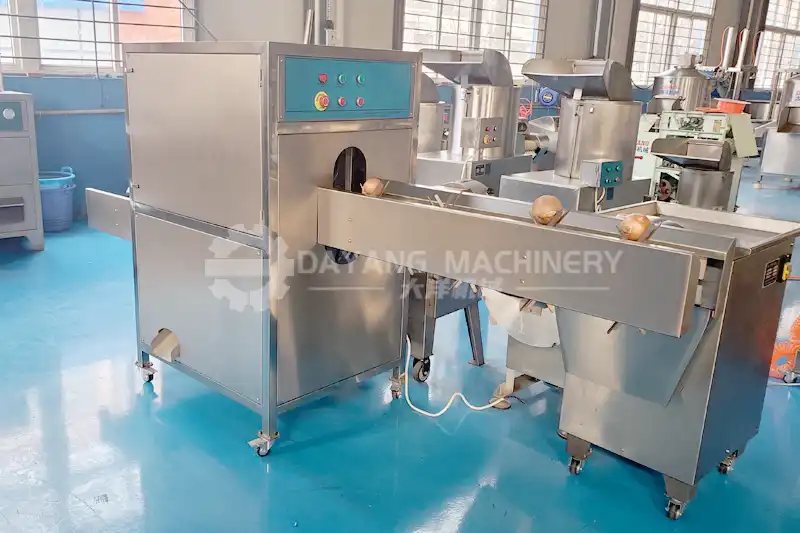 Onion root head cutting Machine-2