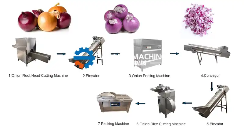 Onion Dice Production Line1