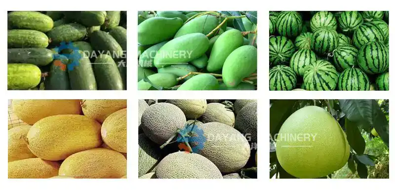 Máquina peladora rotativa de verduras