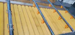 Cómo funcionan los cepillos de la máquina limpiadora y peladora de rodillos de cepillos