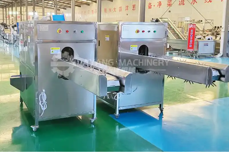 Onion root haad cutting machine-16