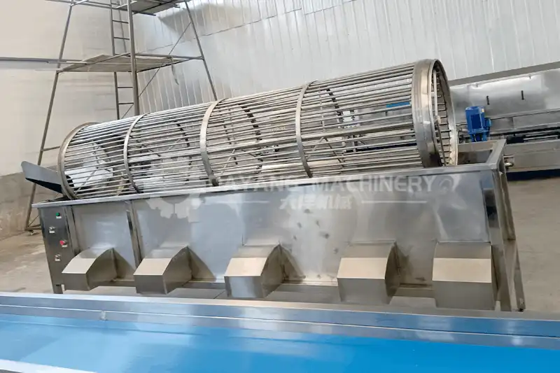 Máquina clasificadora de frutas y verduras 