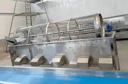 Máquina clasificadora de frutas y verduras 